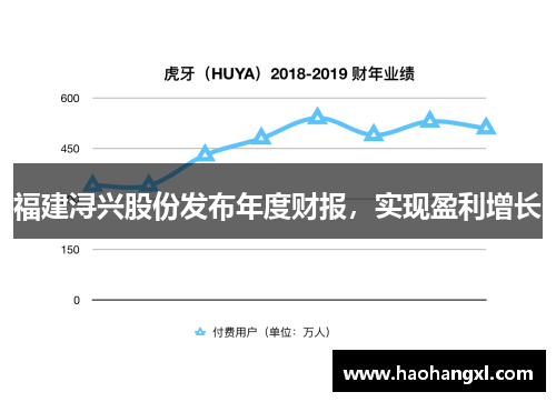 福建浔兴股份发布年度财报，实现盈利增长